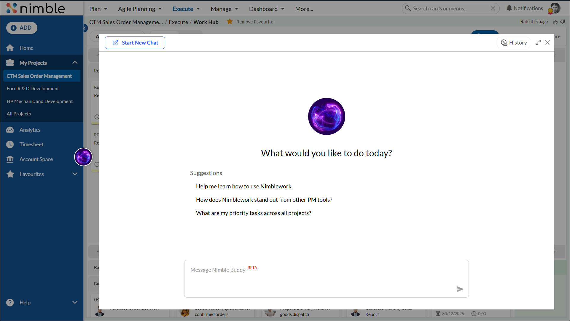 Nimble Buddy chat