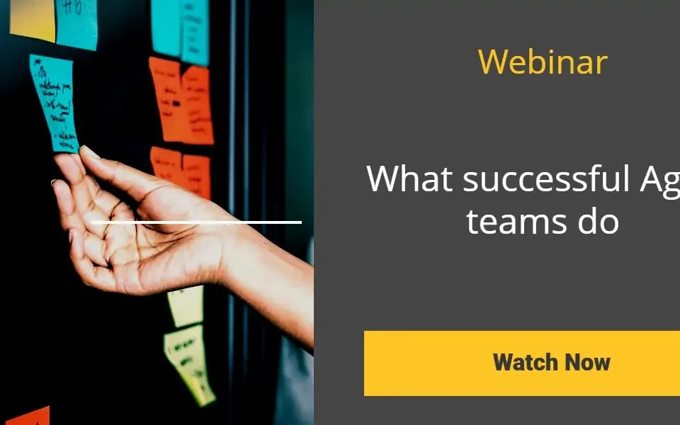 Webinar Successful Agile Teams