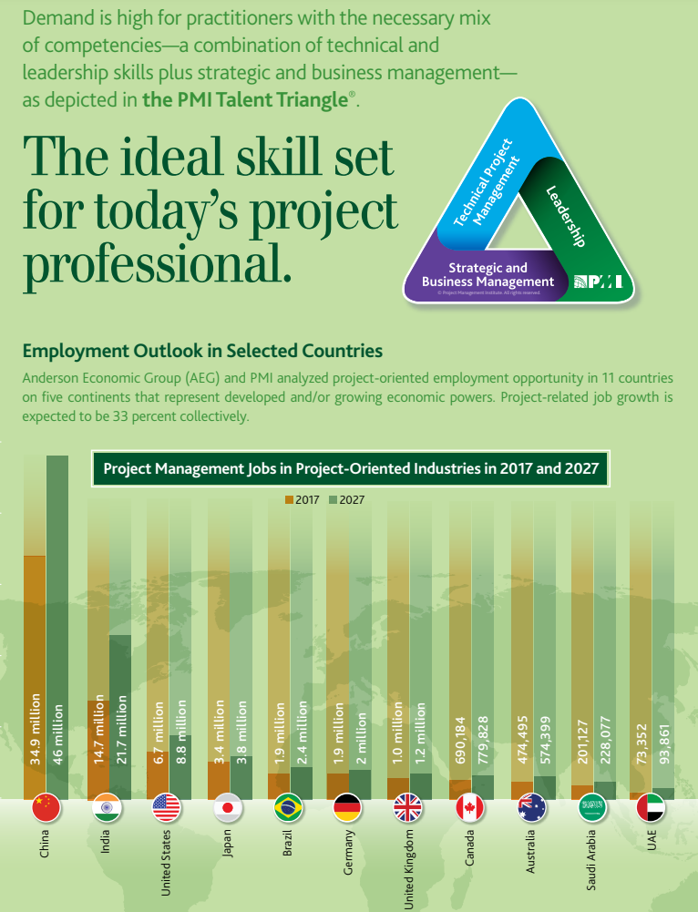 Project Manager Skillset